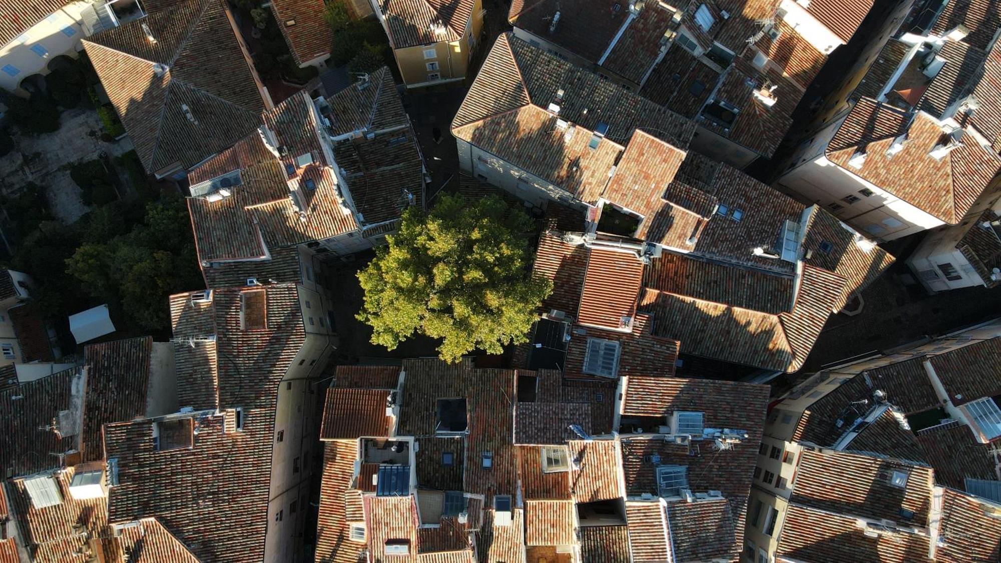 Appartement Centre Historique Aix En Provence, Place Ramus エクス＝アン＝プロヴァンス エクステリア 写真